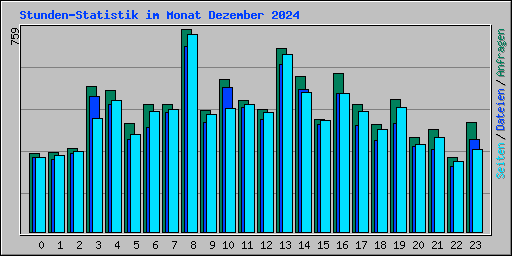 Stunden-Statistik im Monat Dezember 2024