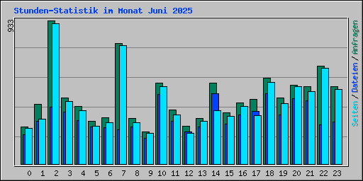 Stunden-Statistik im Monat Juni 2025