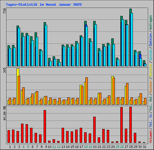 Tages-Statistik im Monat Januar 2025