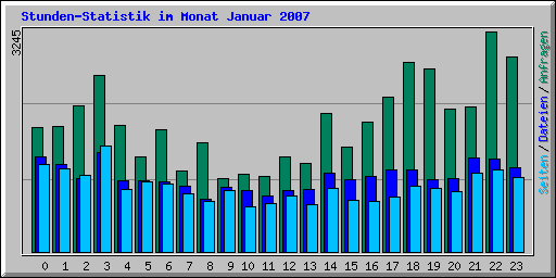 Stunden-Statistik im Monat Januar 2007
