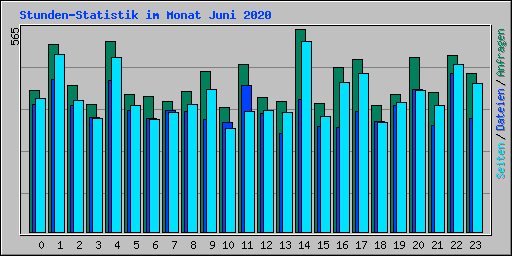 Stunden-Statistik im Monat Juni 2020