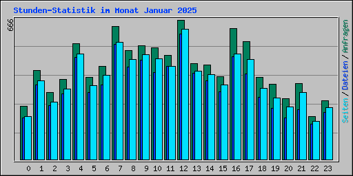 Stunden-Statistik im Monat Januar 2025